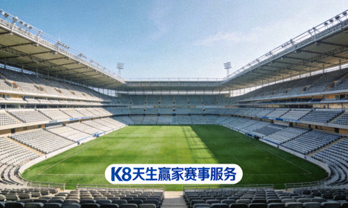 体育场全景,绿茵场与看台,K8天生赢家赛事服务